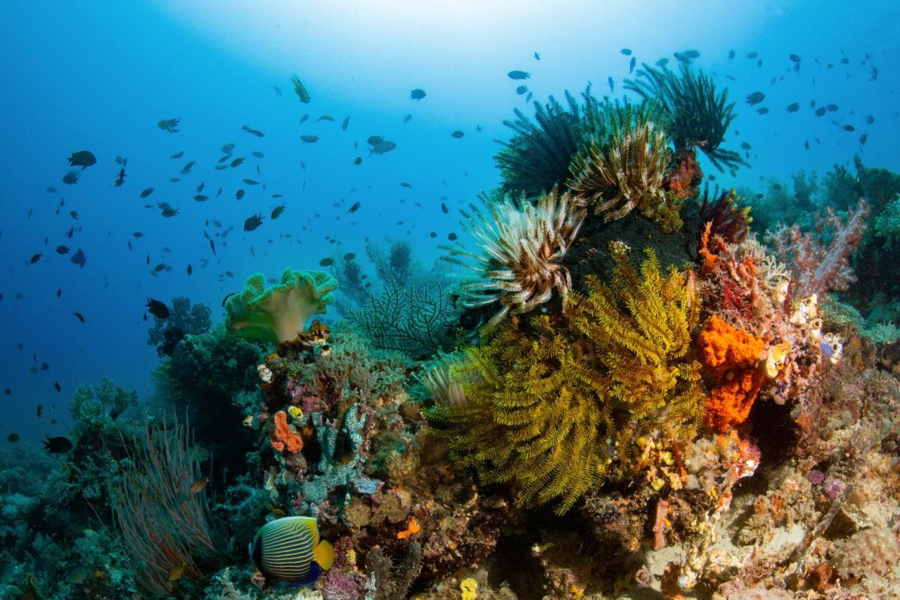 Metita Beach & Dive Resort Daruba 외부 사진