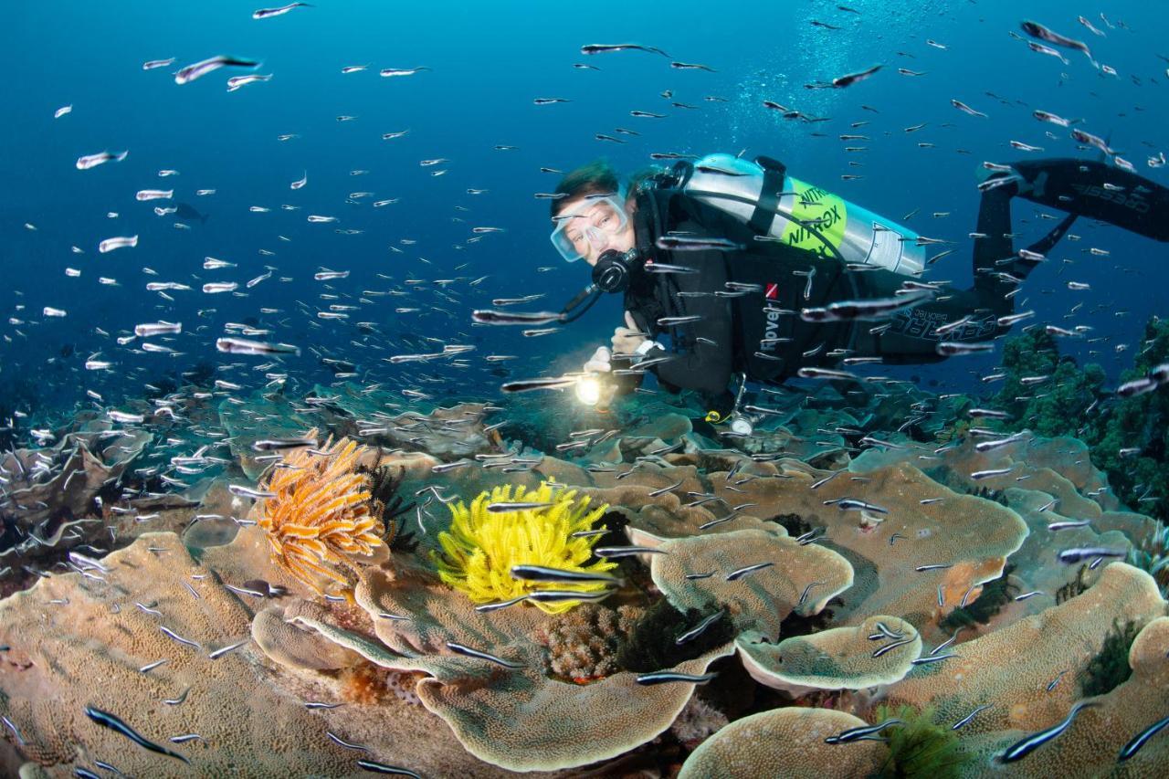 Metita Beach & Dive Resort Daruba 외부 사진