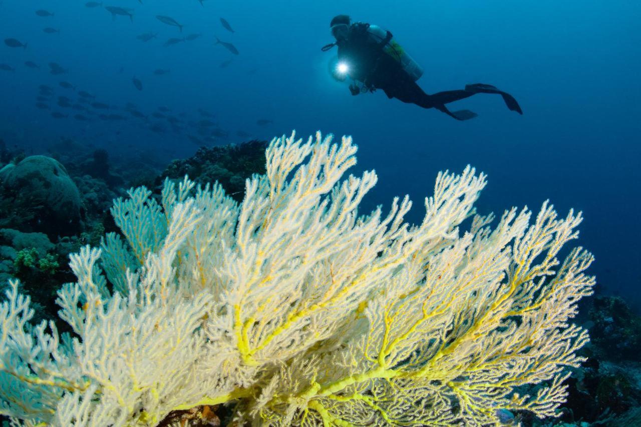 Metita Beach & Dive Resort Daruba 외부 사진